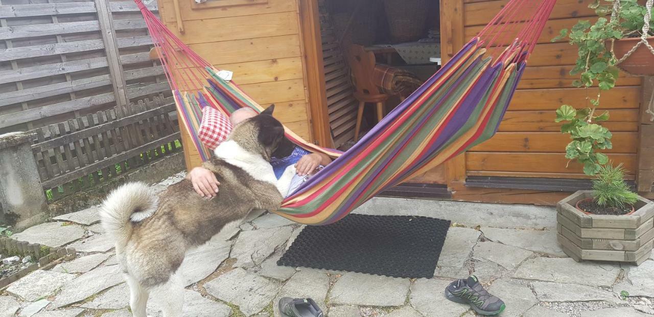 Appartement Koenigslehen Radstadt Kültér fotó